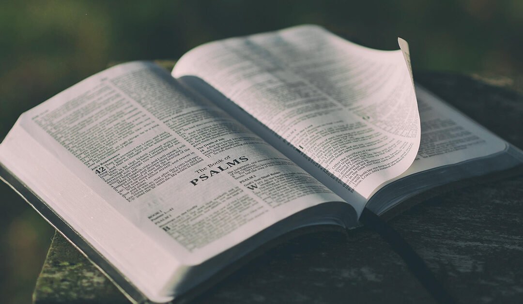 Leading with Wisdom