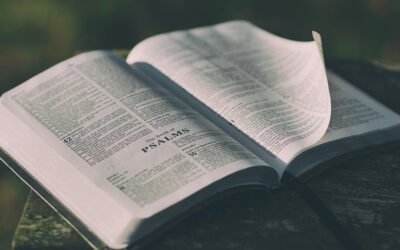 Leading with Wisdom