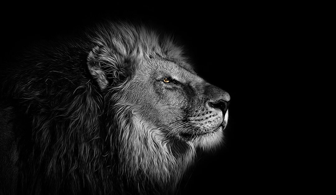 Boldness: One of the First Character Traits