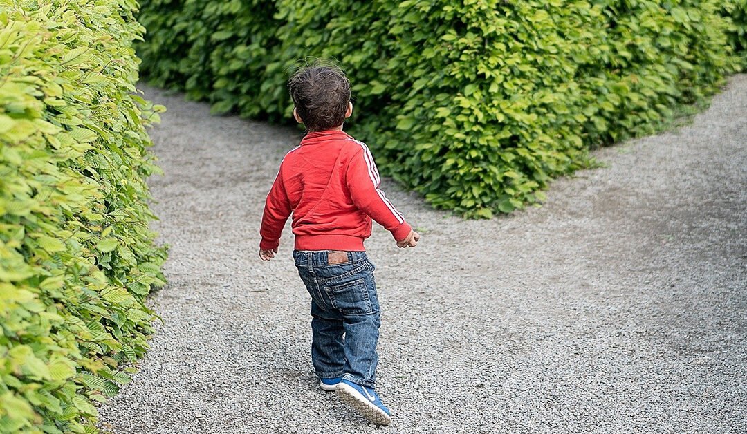 What Guides You to Make Better Life Decisions