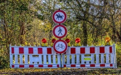Roadblocks to Decisiveness