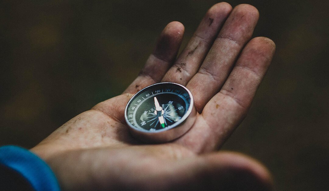 Wisdom’s Way to Real Success