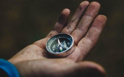 Wisdom’s Way to Real Success